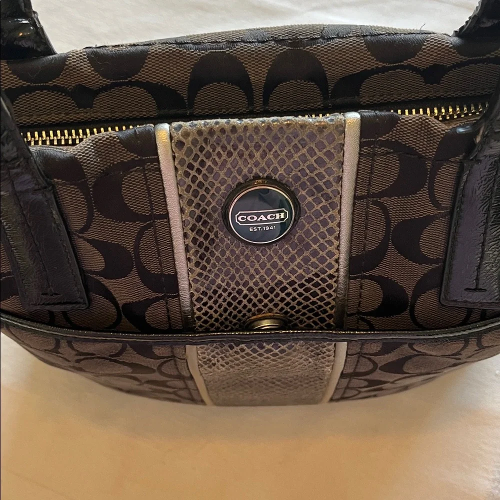 Coach Signature Python Stripe Tote Shoulder Canvas Bag (H1360 - F25706)